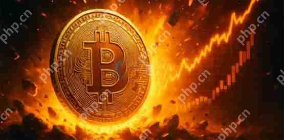 渣打银行分析:比特币再战新高指日可待 续攻12万美元更是毫不费力